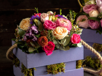 Hat Boxes