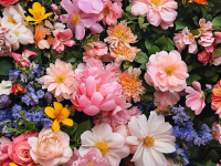 Sympathy Flowers